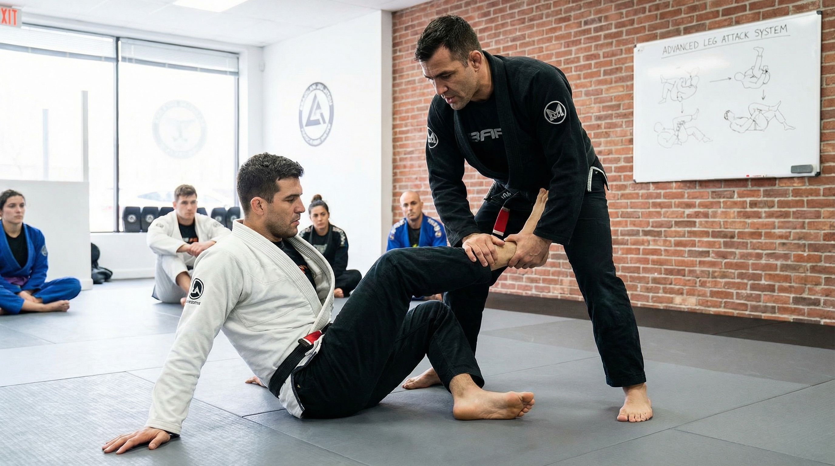 Leg Lock Entry